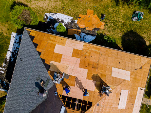 Best Metal Roofing Contractor  in Johnson, AR