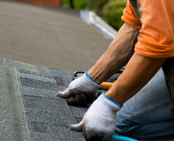 Best Storm Damage Roof Repair  in Johnson, AR