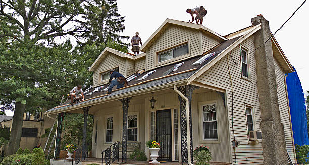Best Roof Repair Services  in Johnson, AR